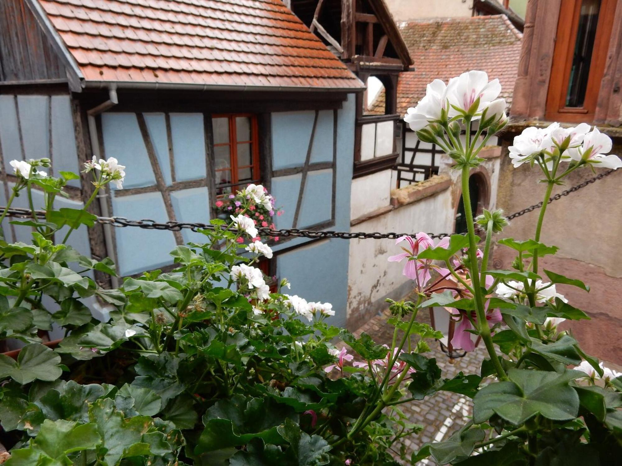 An Apartment In A 17Th Century Wine Grower S House Riquewihr Exterior foto