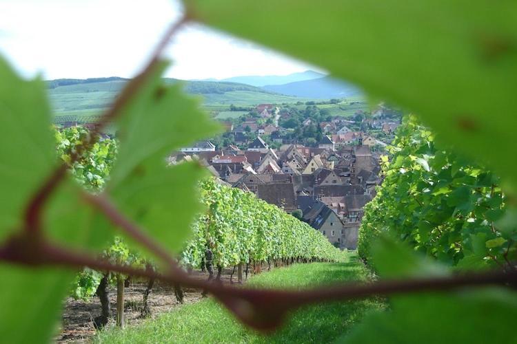 An Apartment In A 17Th Century Wine Grower S House Riquewihr Exterior foto